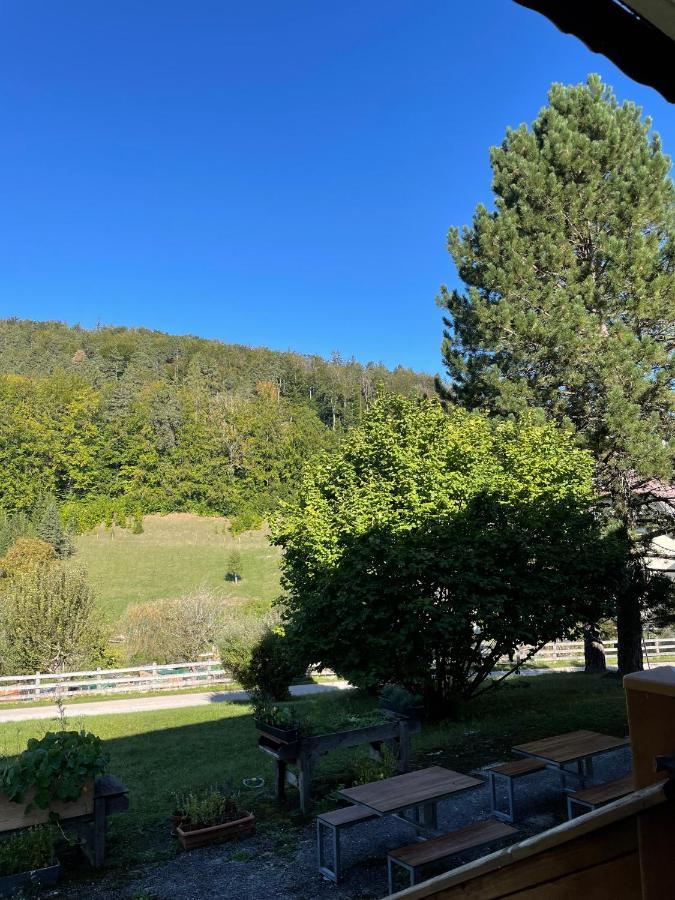Dorfpension Mariahilfberg Gutenstein Exteriör bild